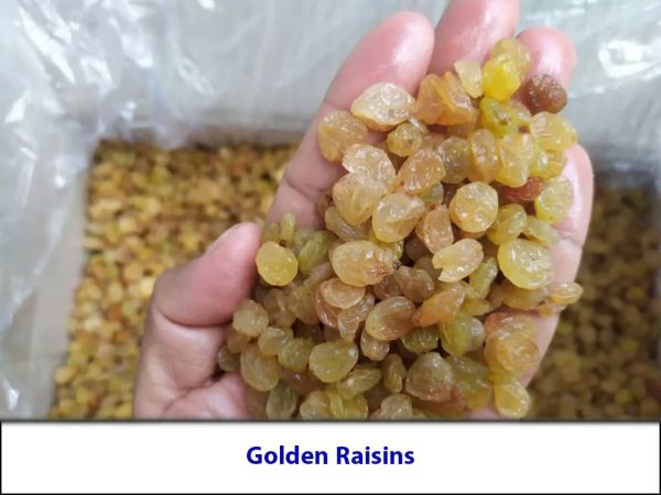 Golden Raisins in hand