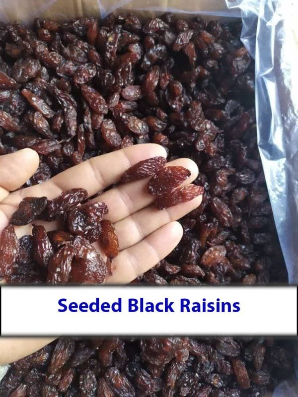 Seeded Black Raisins in hand