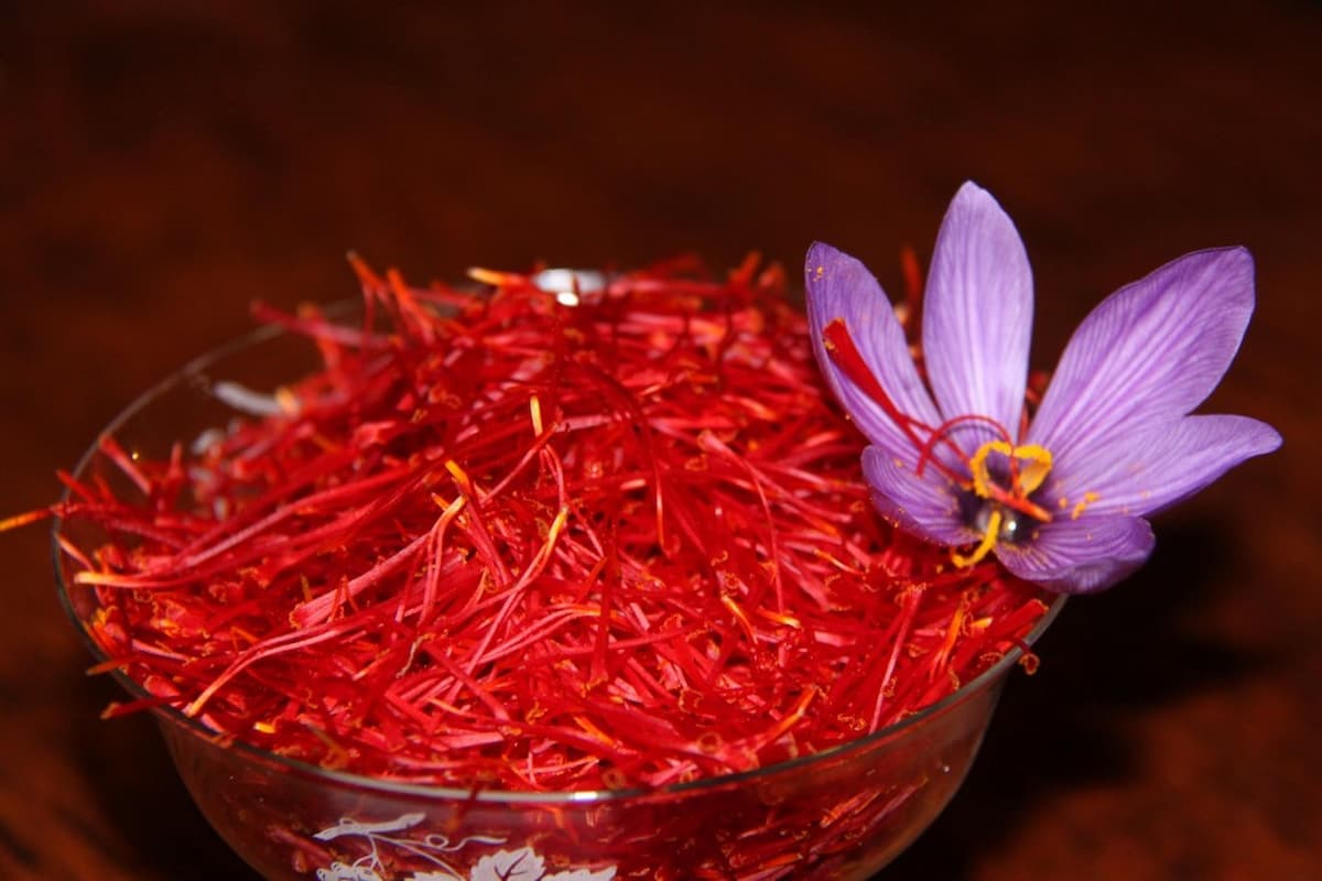 Iranian Saffron