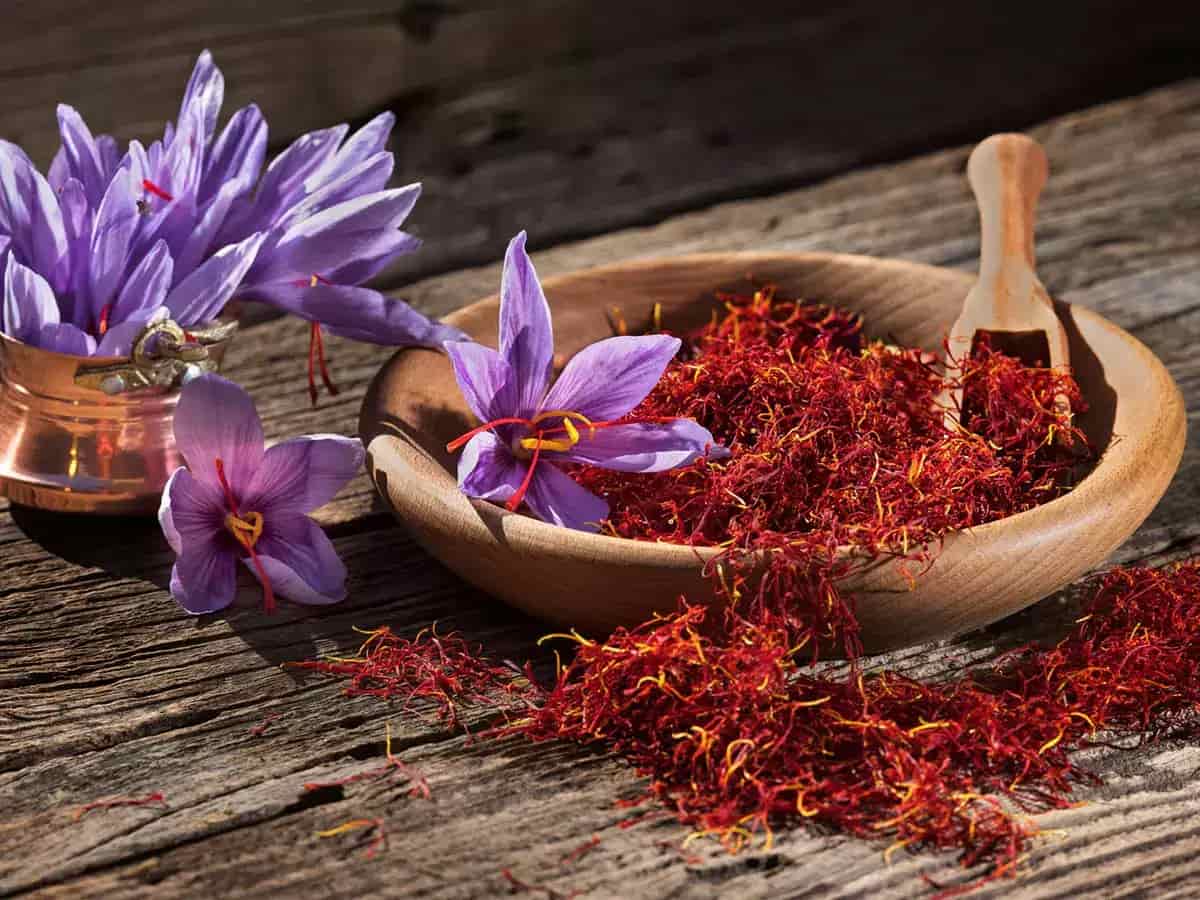 Iranian Saffron