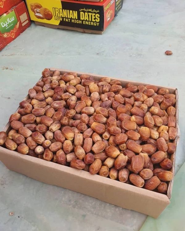 Dates - Image 11
