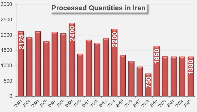 processed quantities in iran