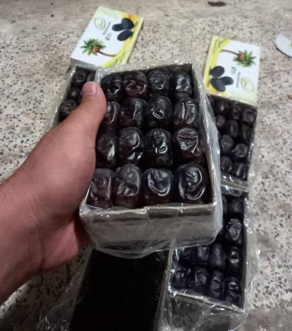 Mazafati Bam Dates - Image 2
